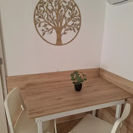 Apartment Pajer Plazs &